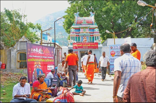 மூலிகை லிங்க தரிசனம்