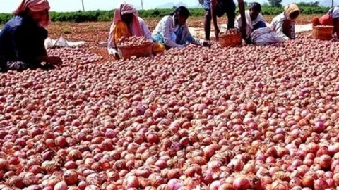 வெங்காயம்