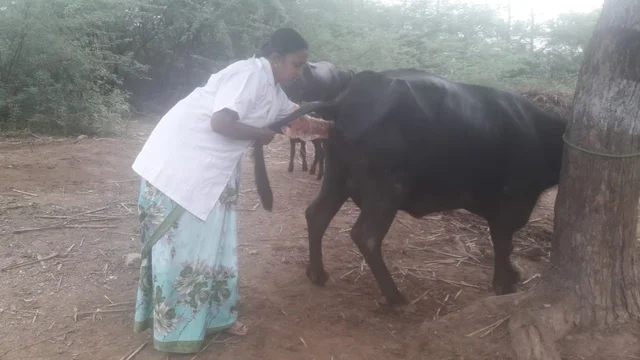 doctor anandhi