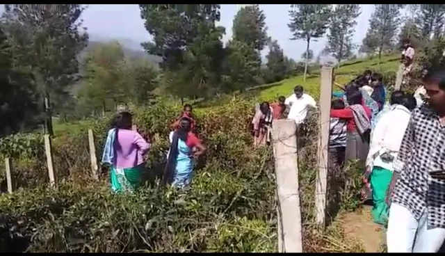 ஊர் மக்கள்