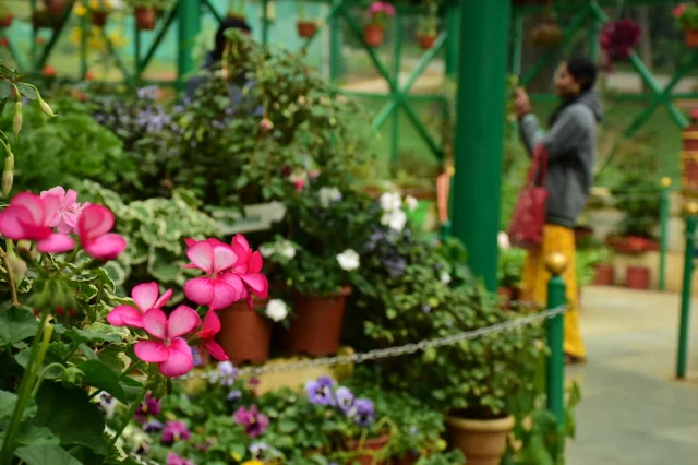 Ooty botonical garden