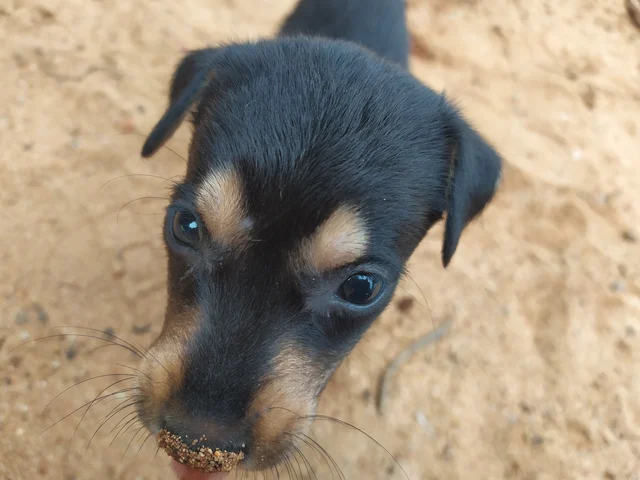 kid