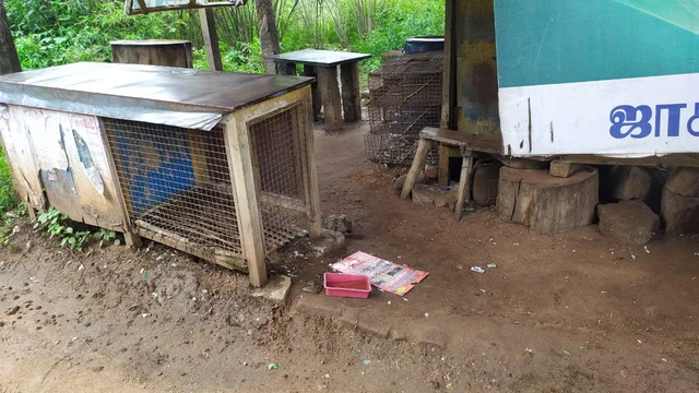 கறிக்கடையில் திருட்டு