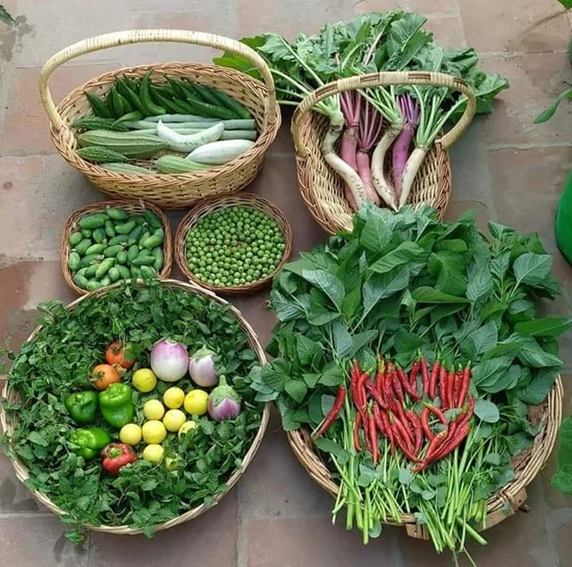 terrace garden