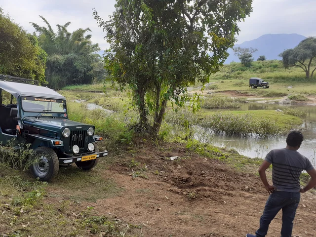 jeep safari