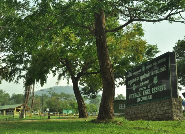 Mudumalai Tiger reserve
