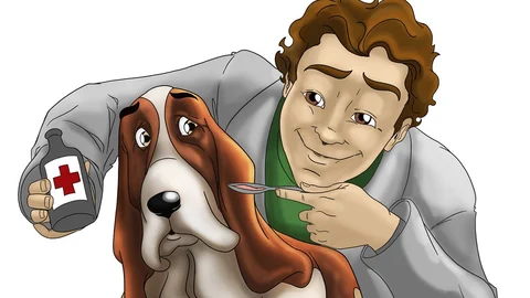 Veterinary Doctor