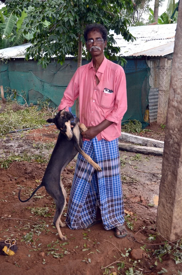 செல்லமாக ஓடிவரும் நாய்