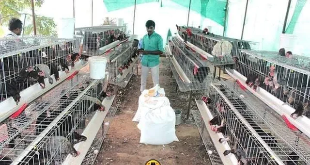 பண்ணையில் அருண்