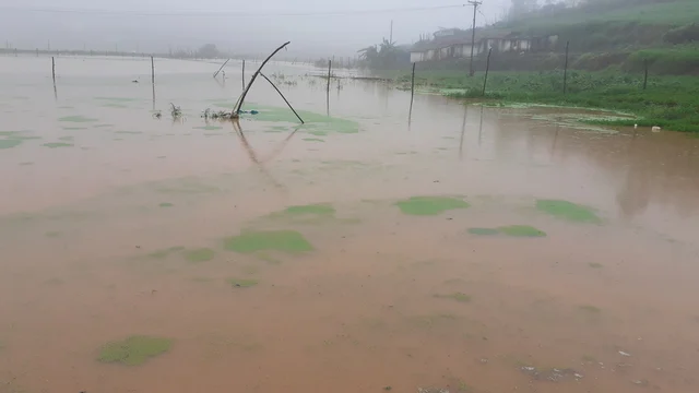 வெள்ள நீர் சூழ்ந்த விளைநிலம்