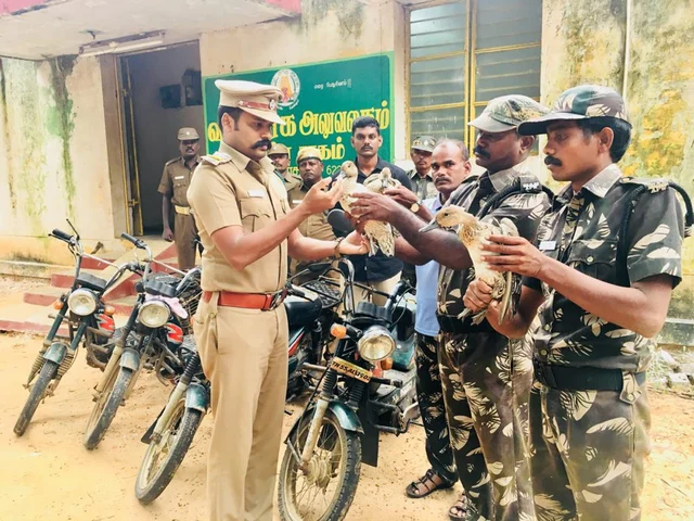 வனத்துறையினர் மீட்ட நீலச்சிறவி பறவைகள்