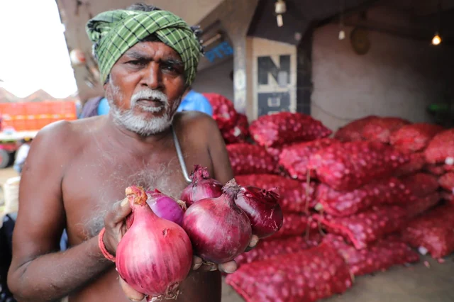 `எகிப்து’ வெங்காயம்