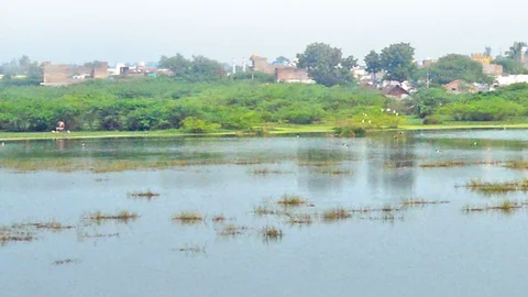 பேரணாம்பட்டு ஏரி