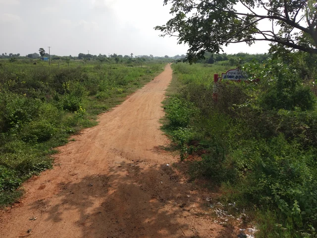 இடுகாட்டிற்கு செல்லும் தனியார் வீட்டுமனை நிலபரப்பு பாதை