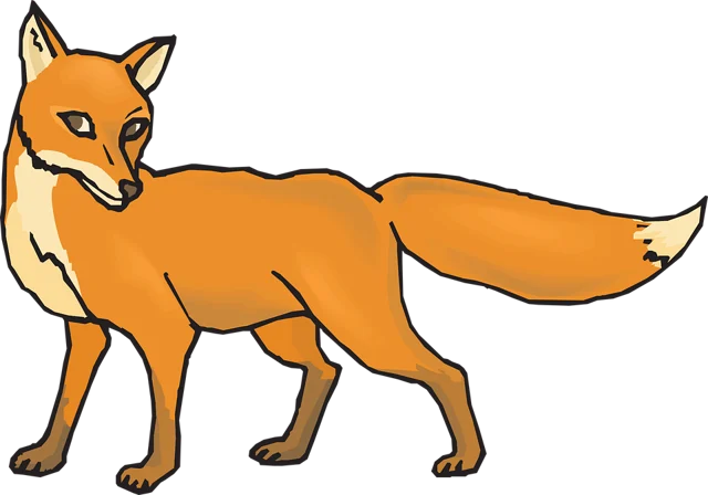 fox