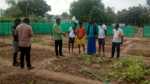 சமூகக் காய்கறித் தோட்டம்