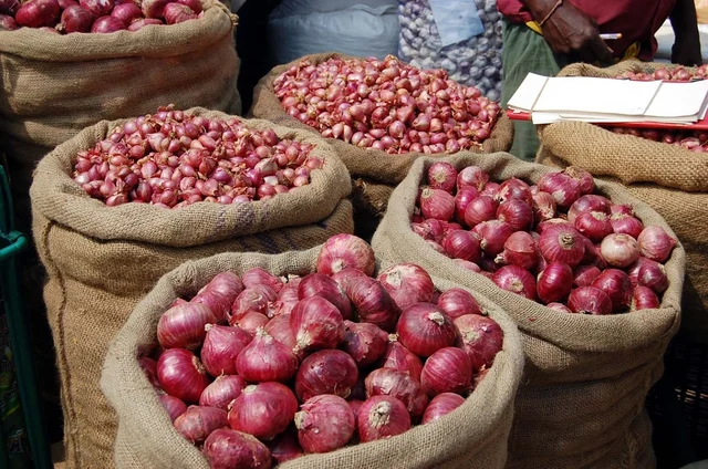 Onion