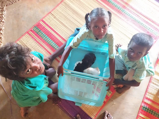 kids