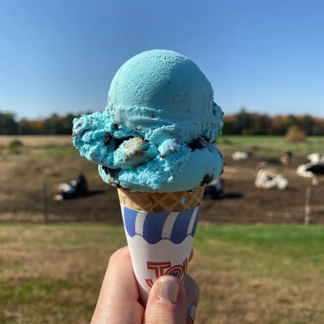 FlaYvors icecream