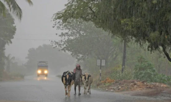 மழை