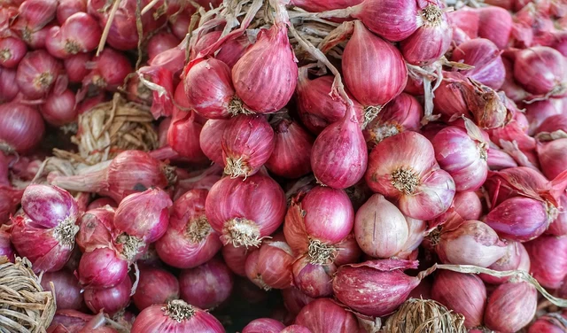 Small Onions