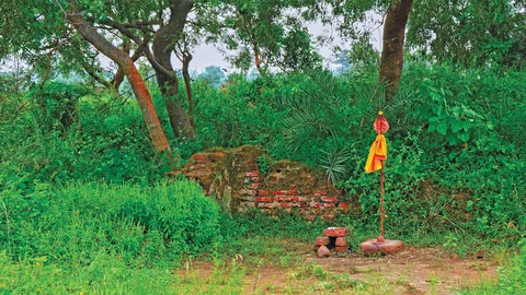 கண்டுகொண்டேன் கந்தனை