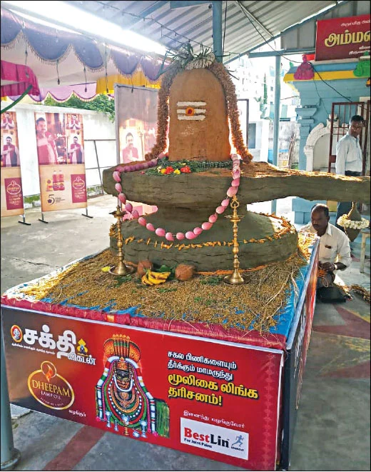 மூலிகை லிங்கம்