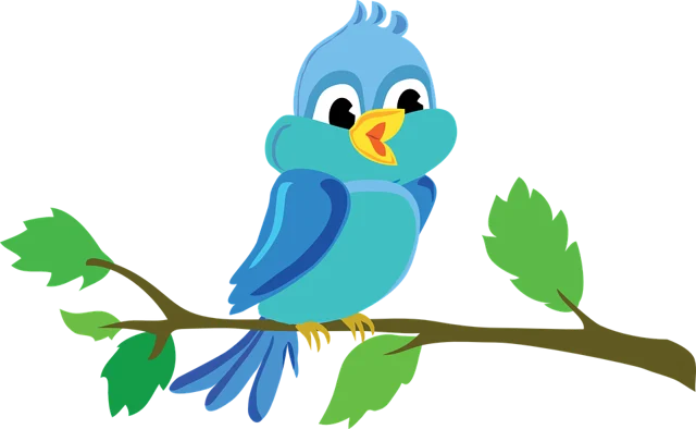 bird
