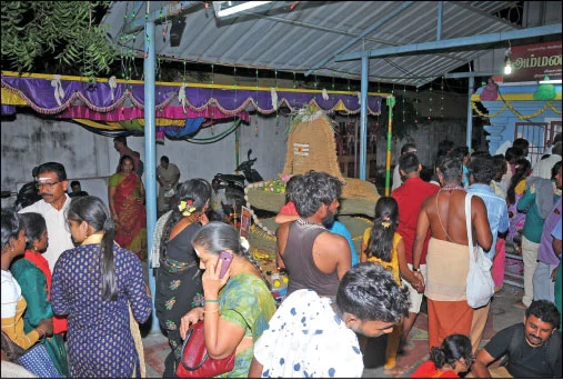 மூலிகை லிங்க தரிசனம்