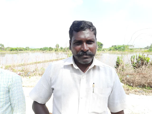 சீனுவாசன், விடுதலைச் சிறுத்தைகள் கட்சி
