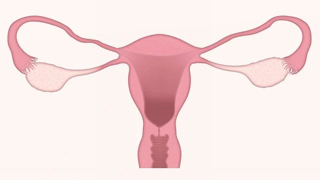 Menopause