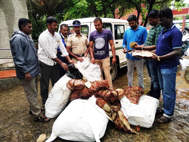 கடத்தல் பீடி இலை மூடைகளுடன் போலீஸார்.