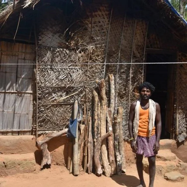 காணி