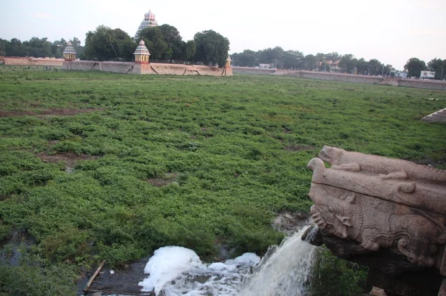 தெப்பக்குளம்
