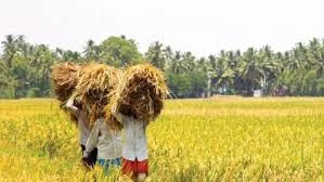 Agriculture