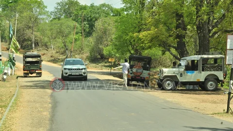 jeep safari