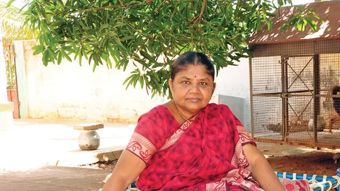 பாலபாரதி