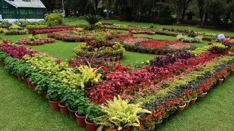 Ooty botonical garden
