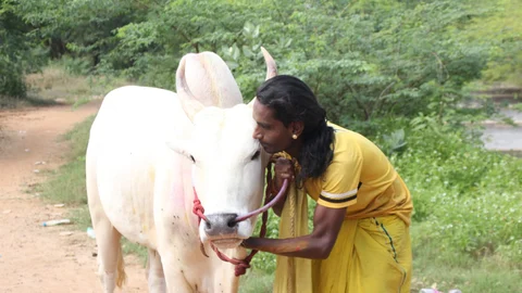வினோத் தனது காளையுடன்