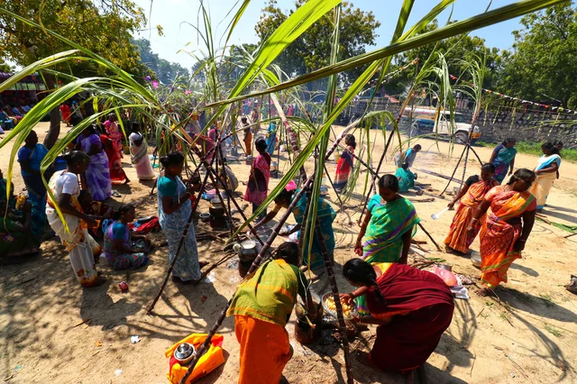 சூரியன் மகர ராசியில் பிரவேசிக்கும் நாளான தை மாதத்தில் கொண்டாடப்படும் தமிழர் பொங்கல்