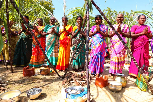 பகலவனை வணங்கி பொங்கல் வைக்கப் போகிறோம்!