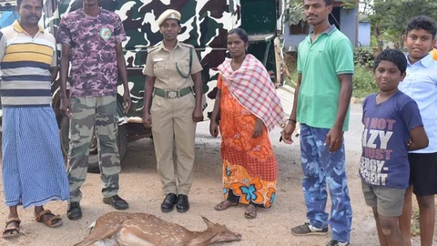 உயிரிழந்த புள்ளிமான்