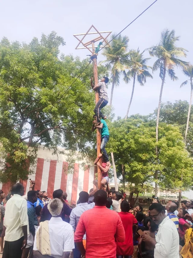 வழுக்குமரம்