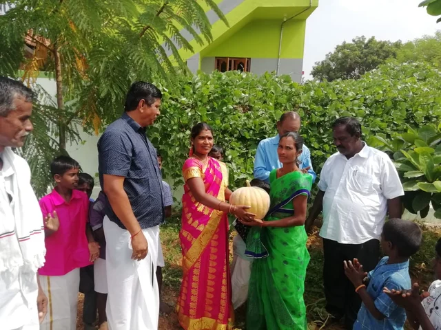 காய்கறி அறுவடை