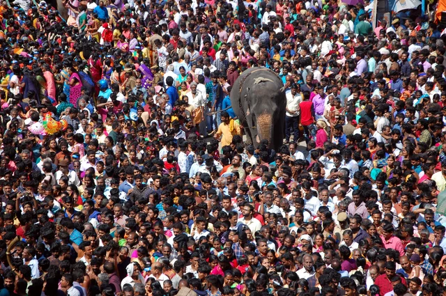மக்கள் கூட்டத்தோடு வலம் வரும் யானை!