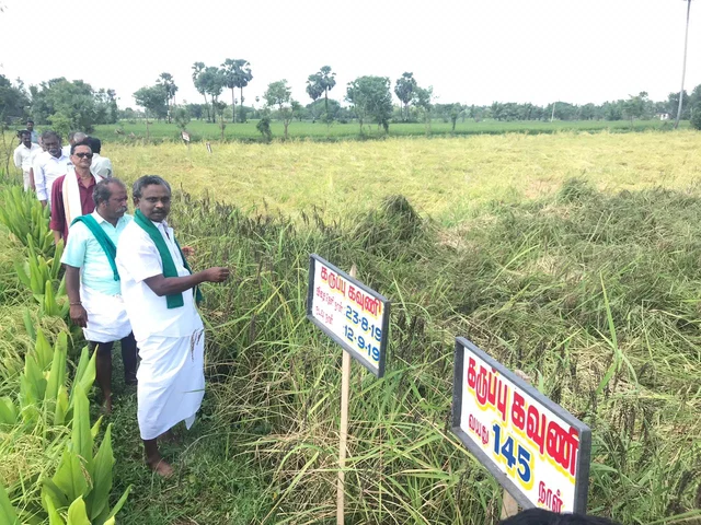 விதைகள்