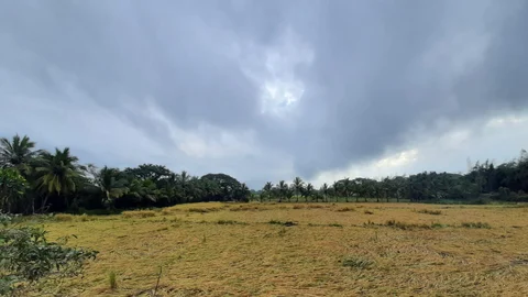 அறுவடை பாதிப்பு