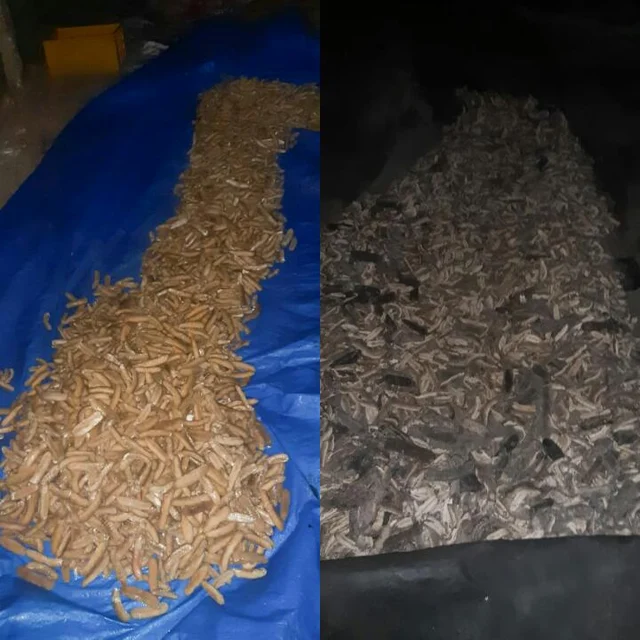 பதப்படுத்தப்பட்ட வெள்ளை, கறுப்புநூல் கடல் அட்டை