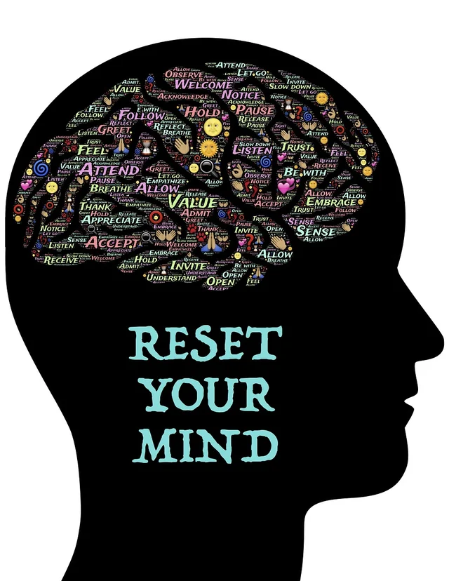 Brain