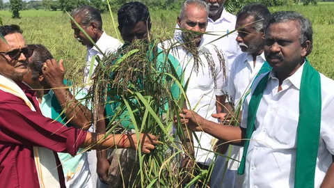 விதைகள்